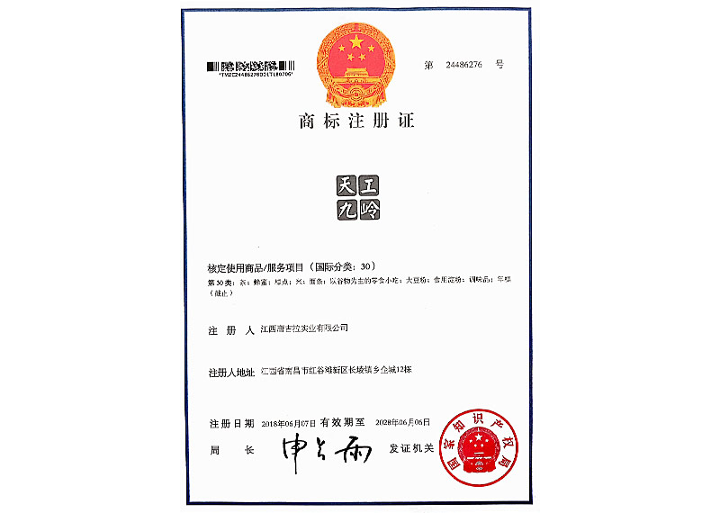 天工九嶺——商標(biāo)注冊證