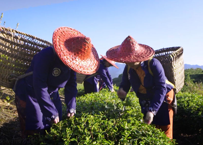 種植基地